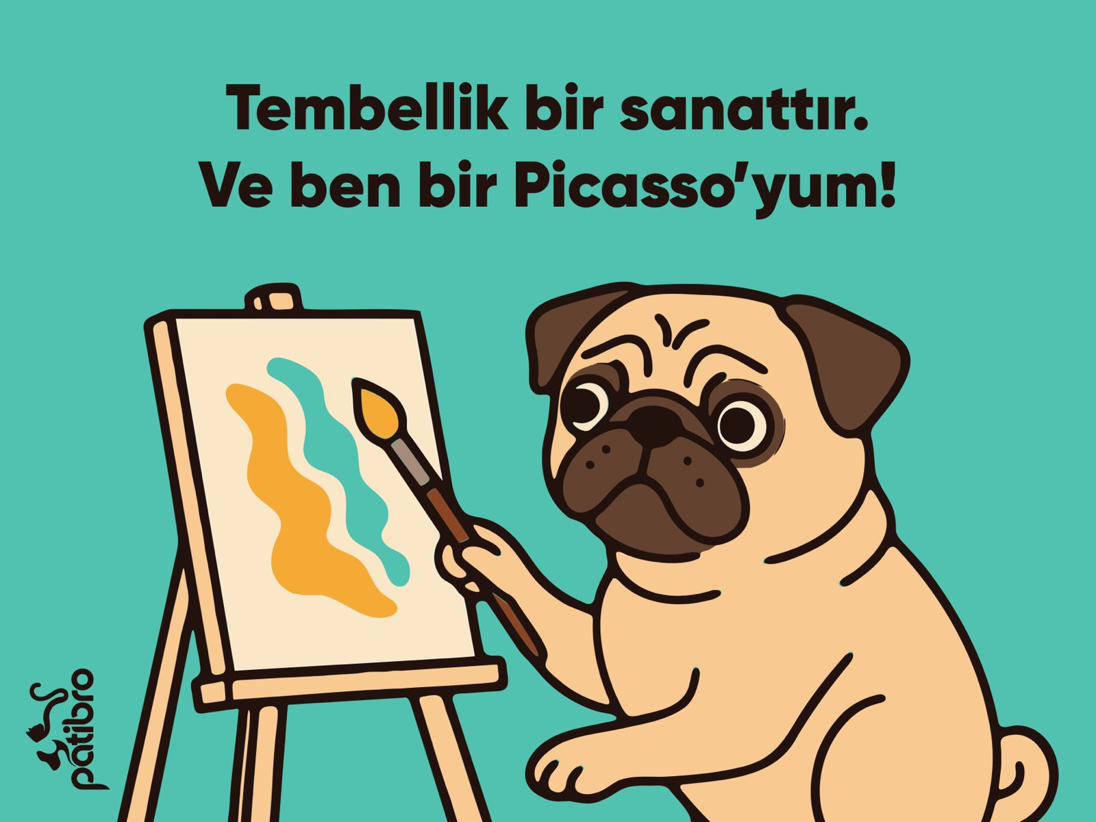 Zarif Kedi Paspası
